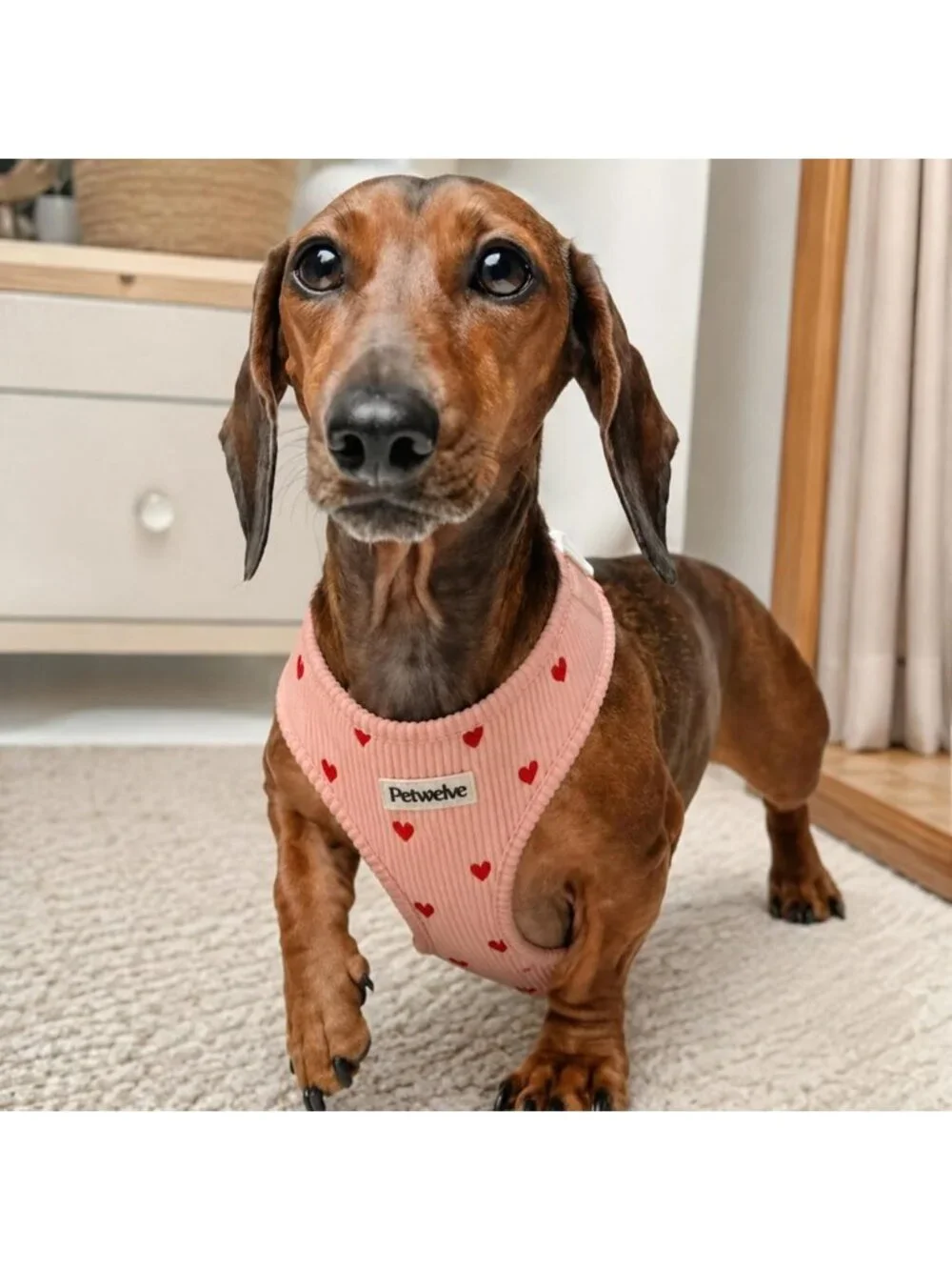 Medium No-Pull Dog Harness with Embroidered Heart - Pink Pet Vest for Comfort